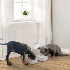 Designed bowls for pets