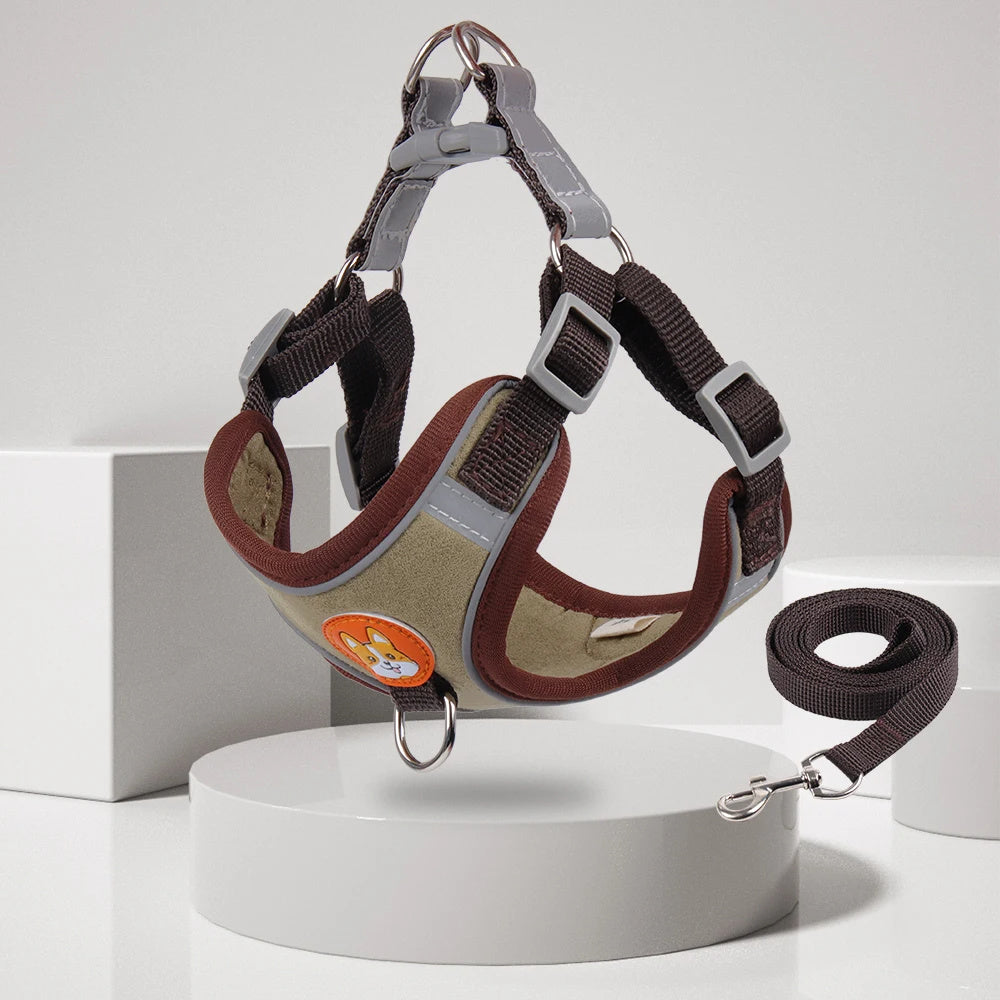 Dog Leash And Harness