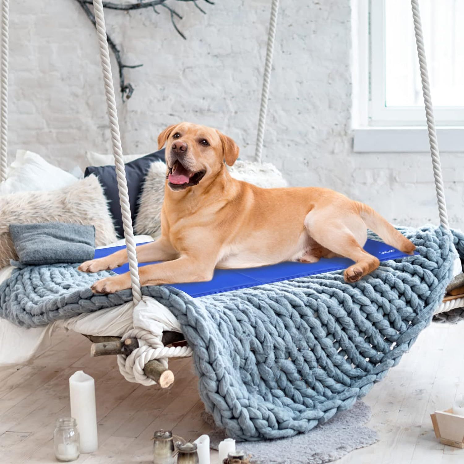 Dog Cooling Mat