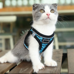 Pet Chest Harness