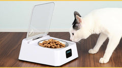 Automatic Smart Feeder