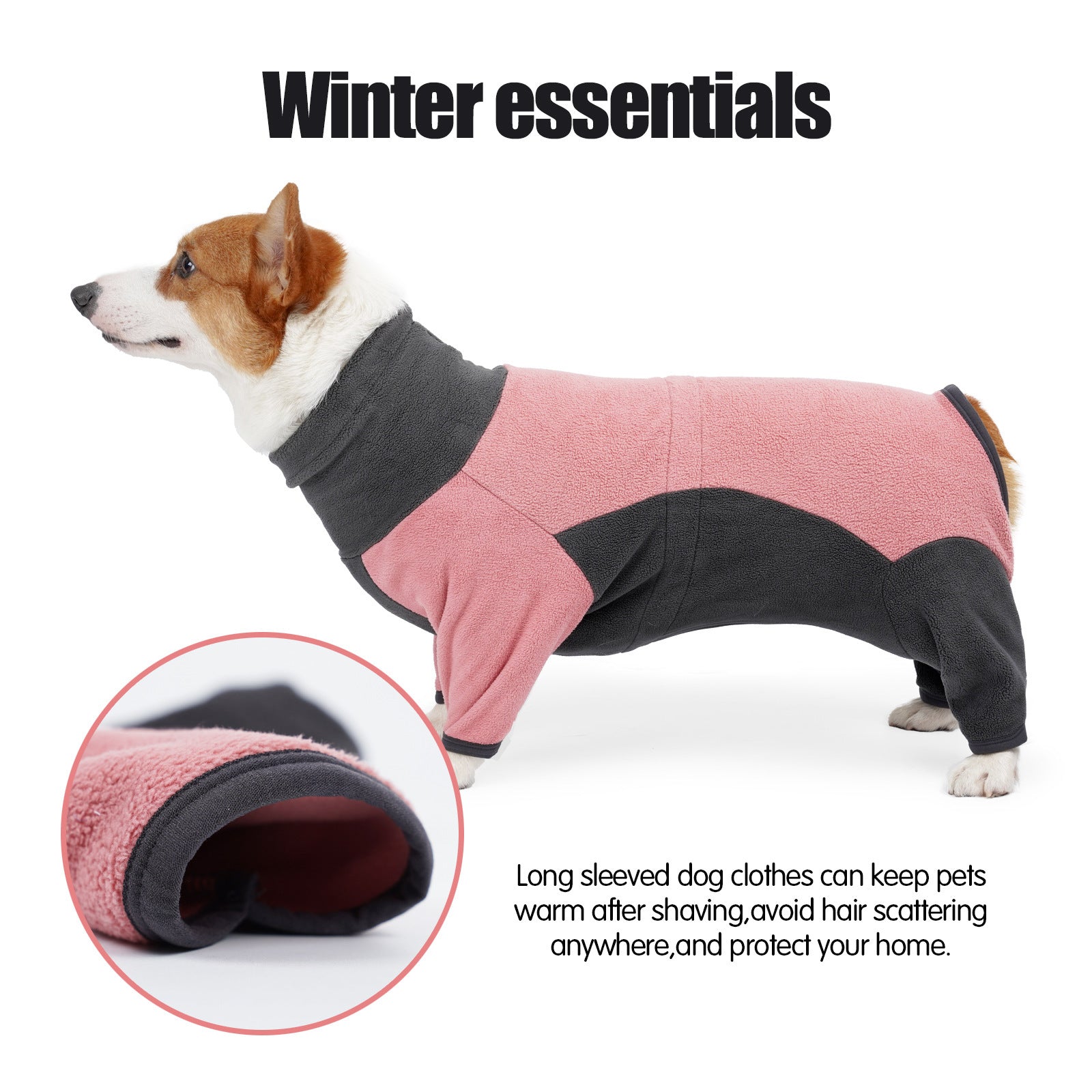 Winter clothes for dogs