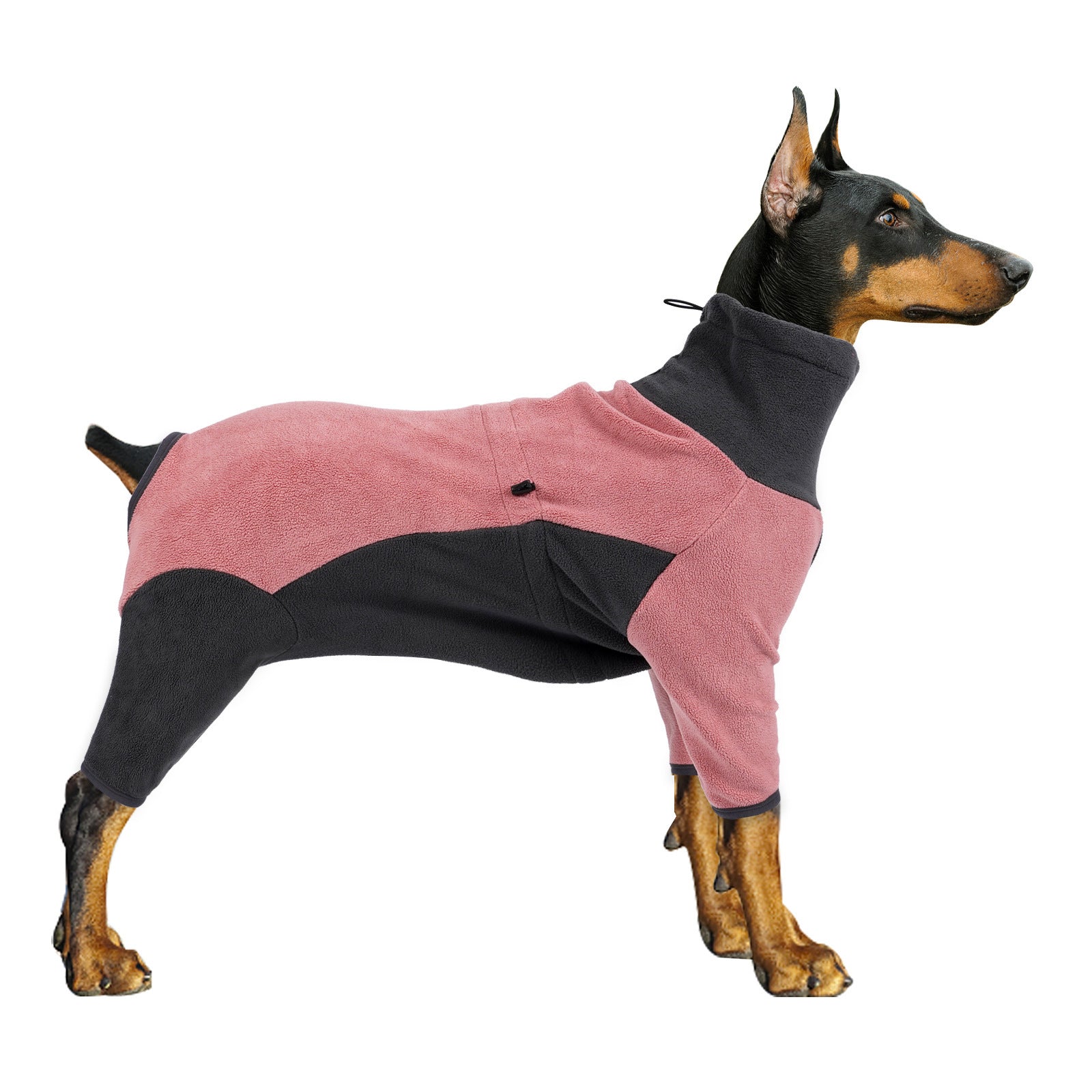 Winter clothes for dogs