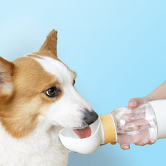 Drinking Water Pet Supplies