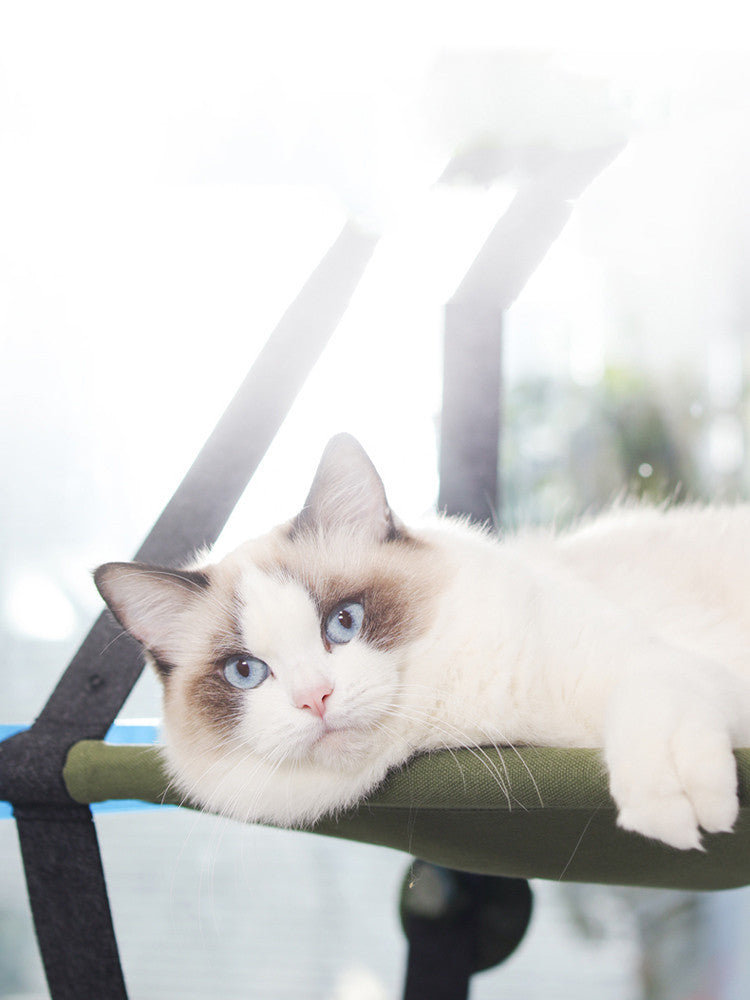 Cat Hammock