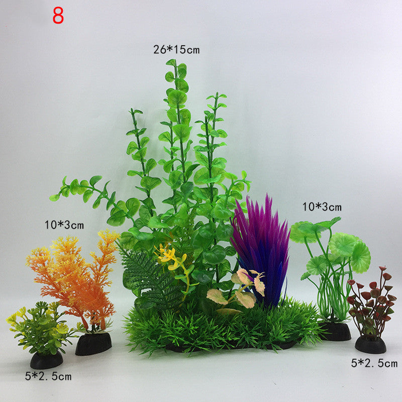 Plants for the aquarium