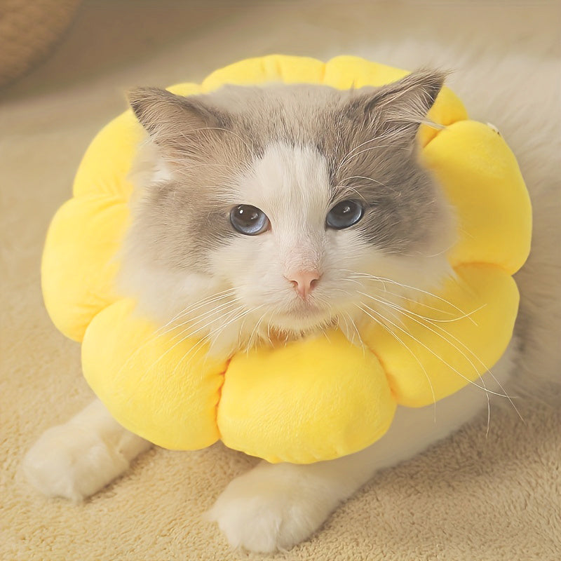 Cat and dog pillow