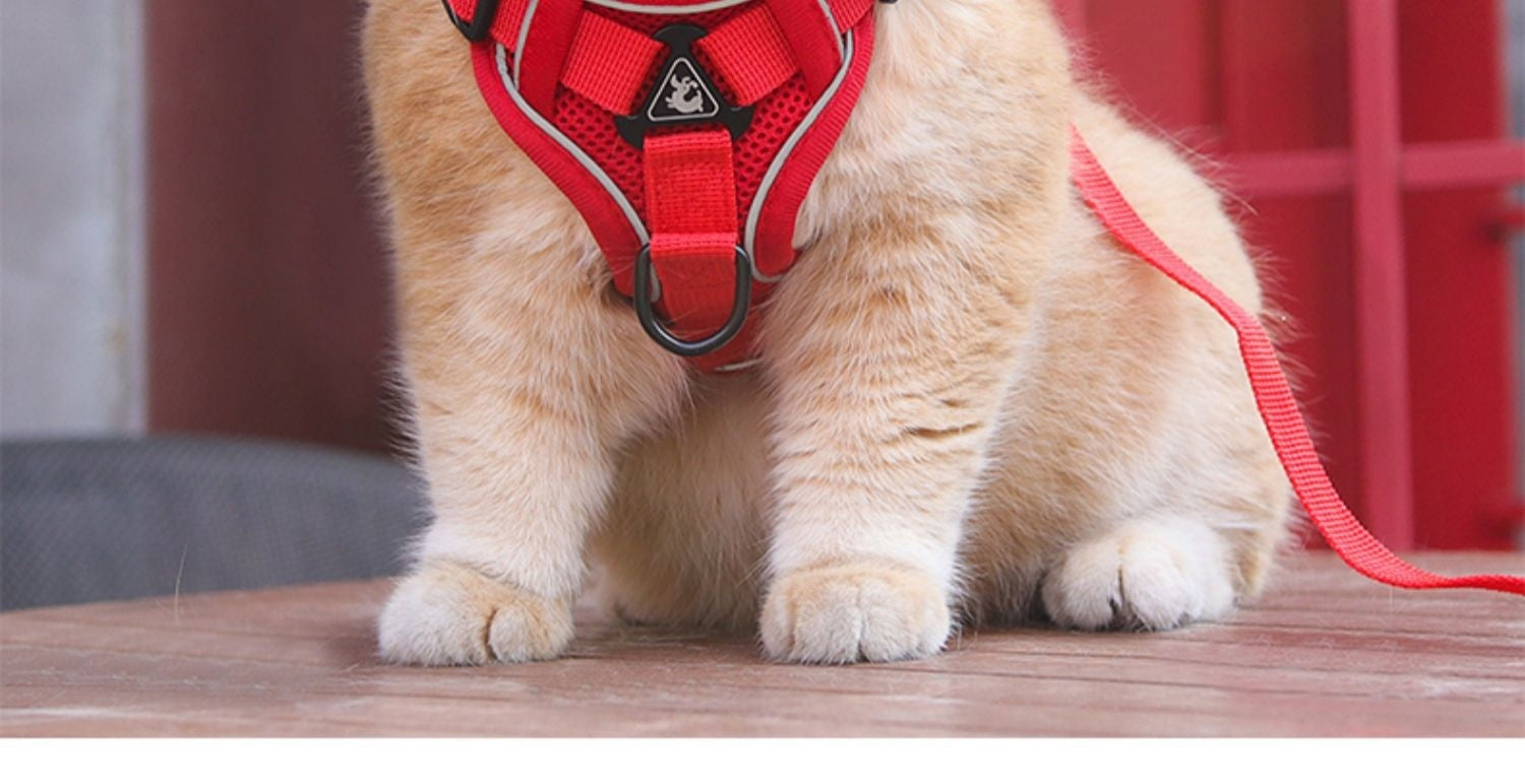 Pet Vest Chest Strap