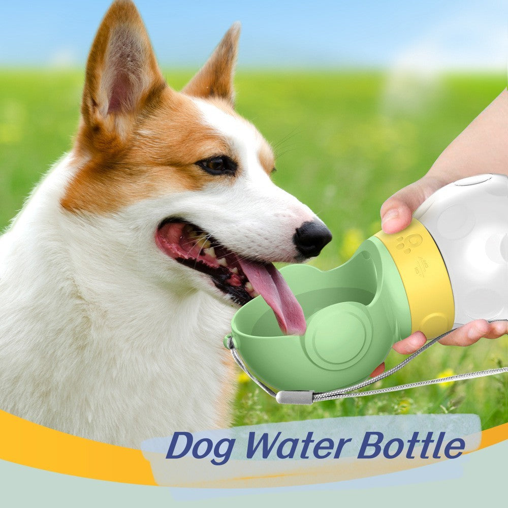 Pet Water Dispenser