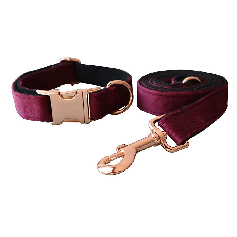 Designed dog leash and collar