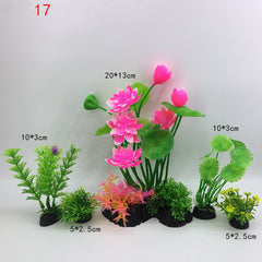 Plants for the aquarium