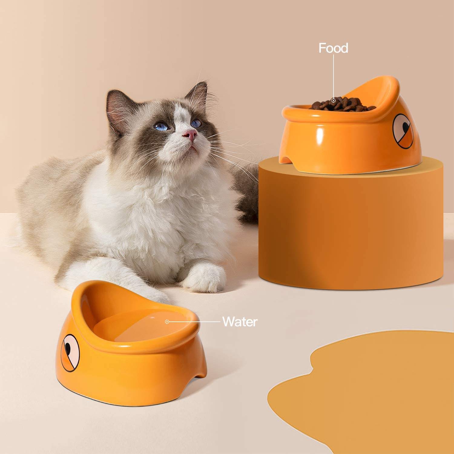 Cat food bowl