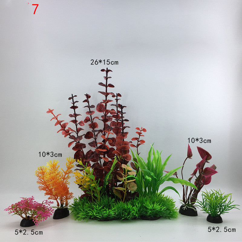 Plants for the aquarium