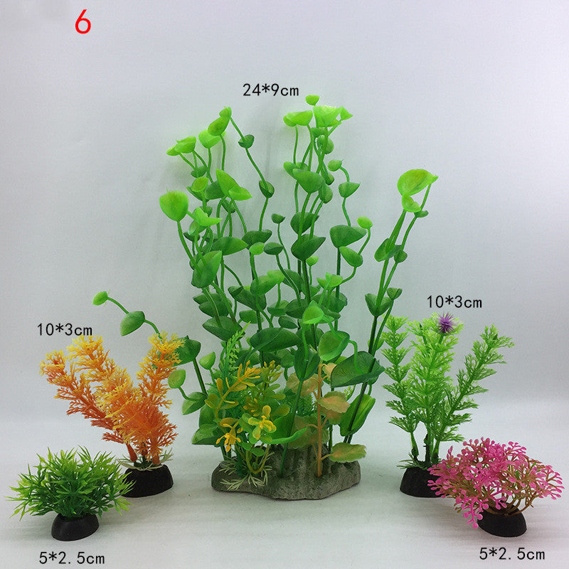 Plants for the aquarium