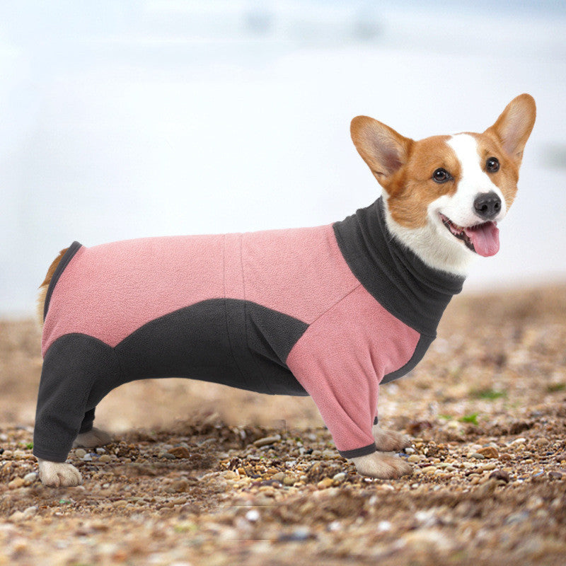 Winter clothes for dogs