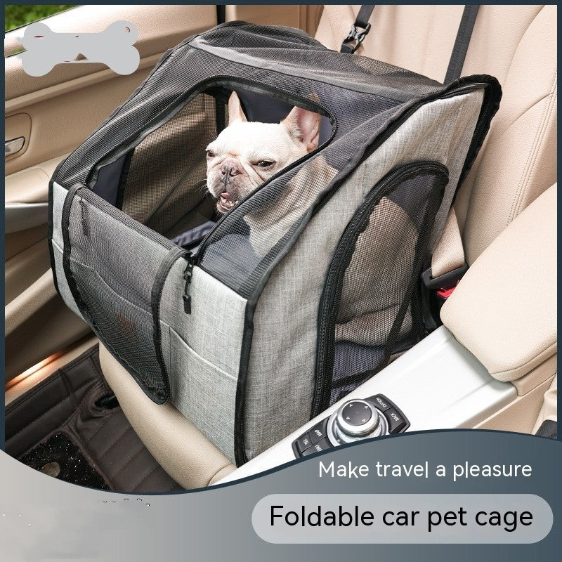 Pet Car Dog