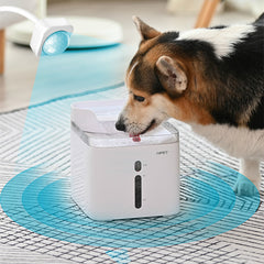 Pet water dispenser