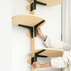 Board Pet Climbing Frame