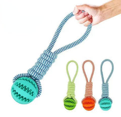 Dog Toys