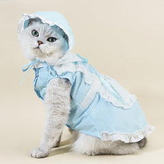 Cat clothing