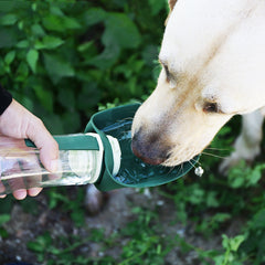 Pet Water Dispenser