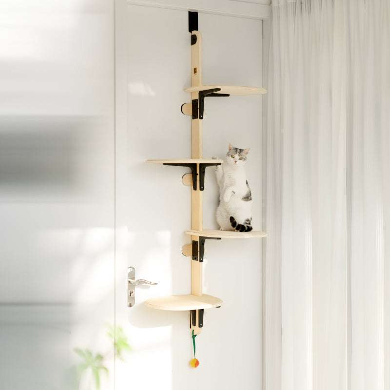 Board Pet Climbing Frame