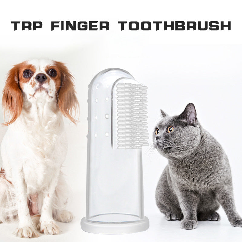 Oral Hygiene Kit For Cats And Dogs